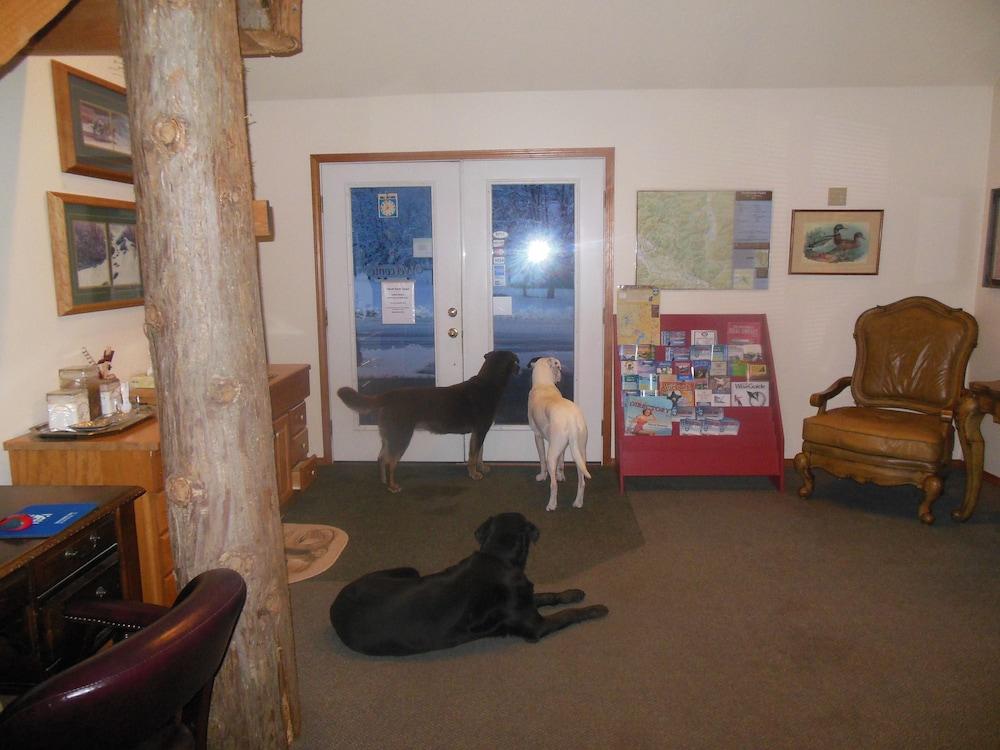 Clark Fork Lodge Ngoại thất bức ảnh