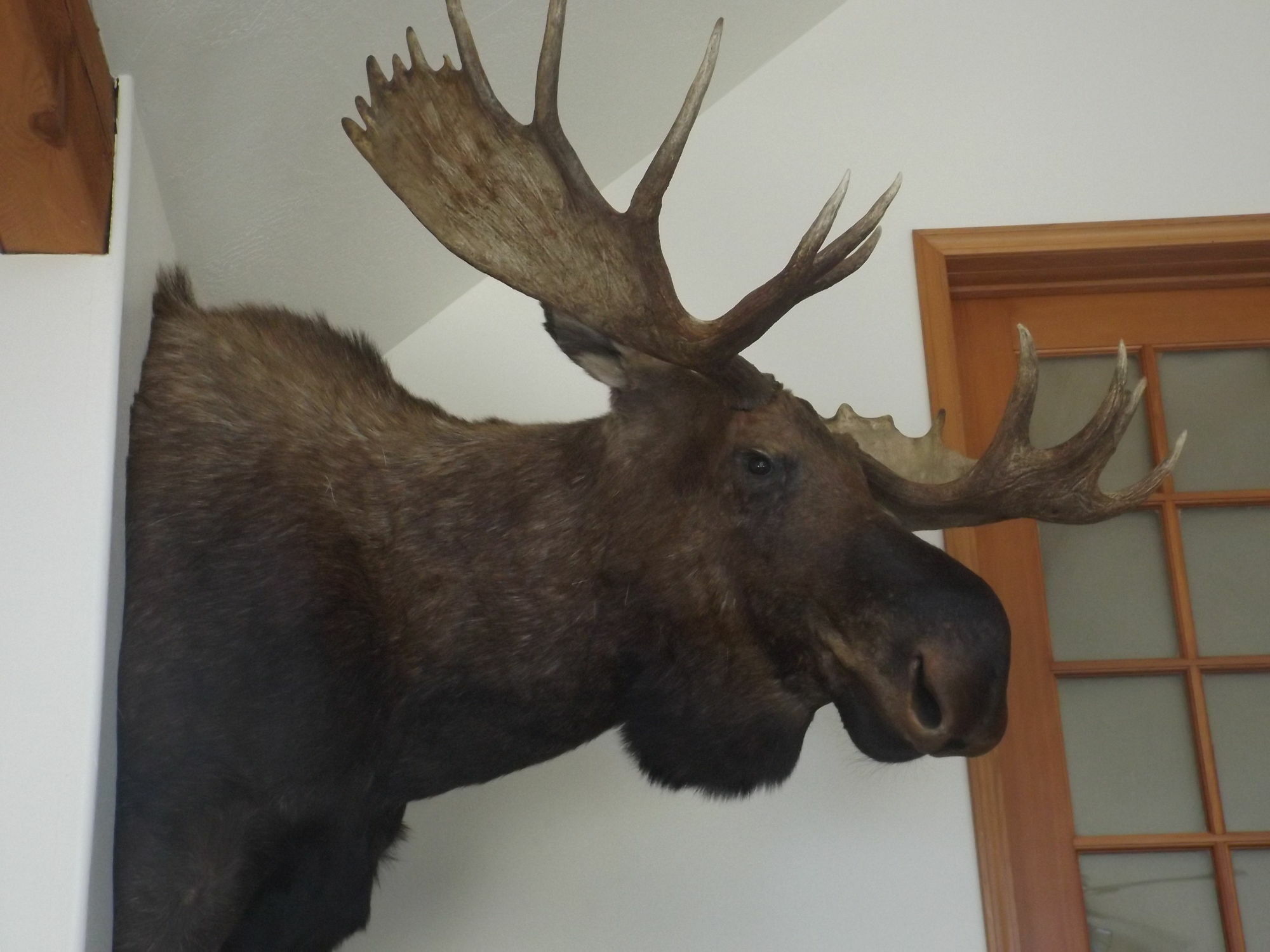 Clark Fork Lodge Ngoại thất bức ảnh